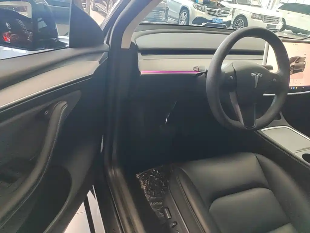 Tesla Model Y — миниатюра 16