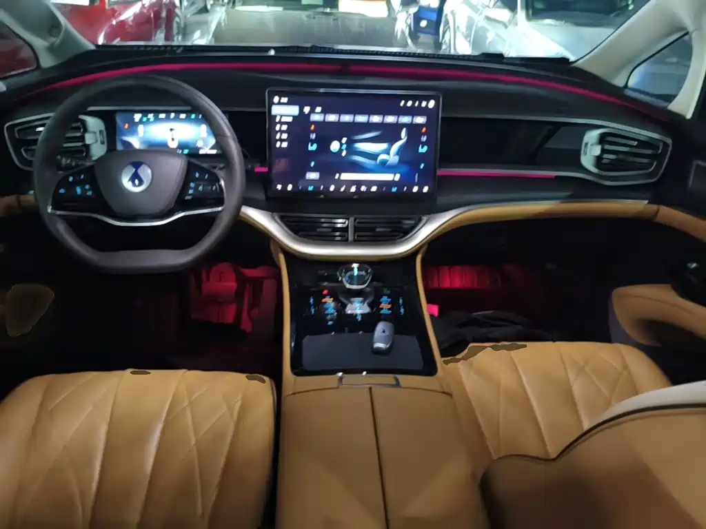 Denza Denza D9 — миниатюра 10