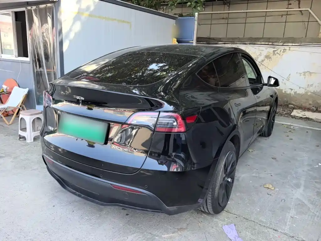 Tesla Model Y — миниатюра 7