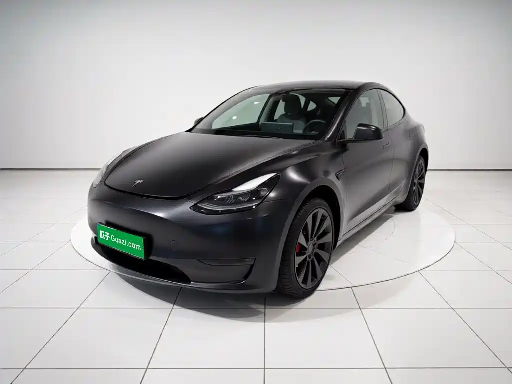Tesla Model Y — миниатюра 2