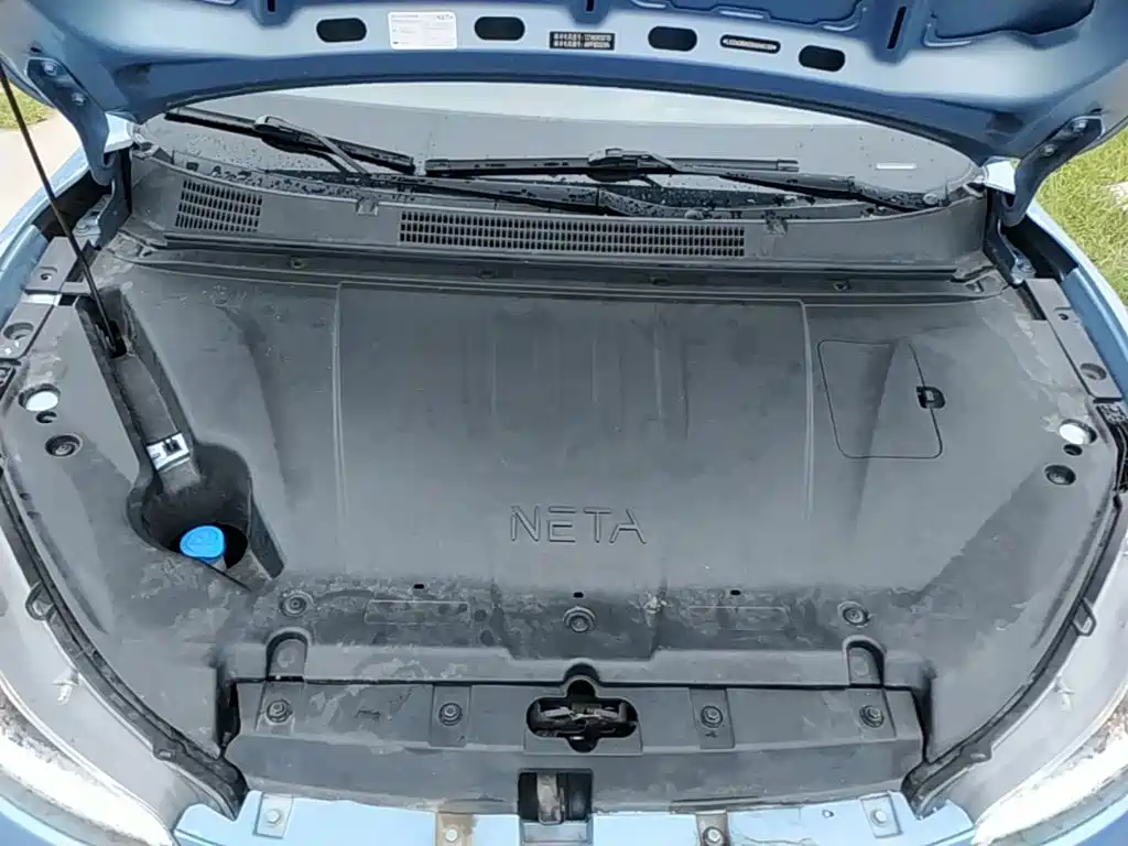 Neta Neta V — миниатюра 20