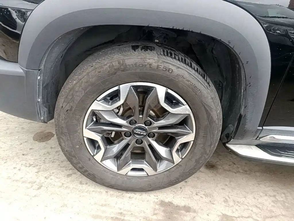 Haval Big Dog — миниатюра 23
