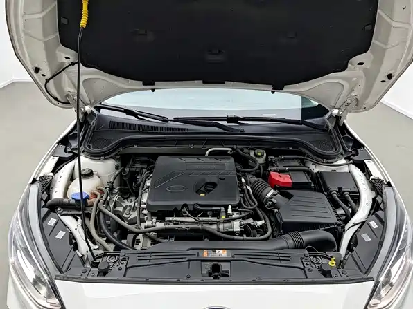 Ford Focus Active — миниатюра 11