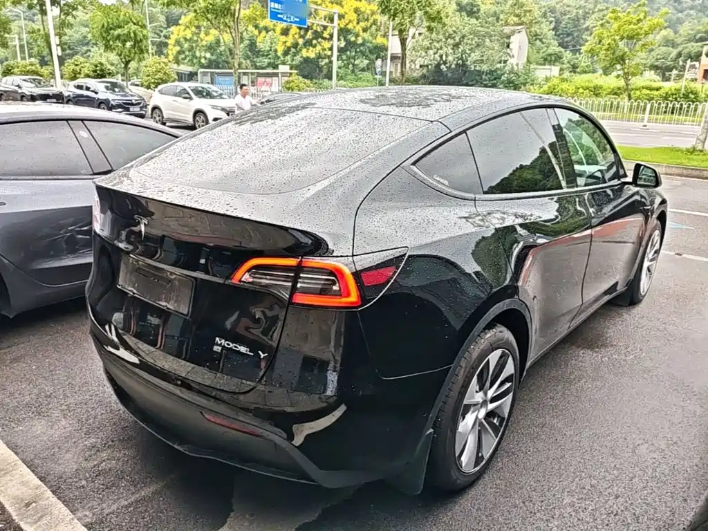 Tesla Model Y — миниатюра 7