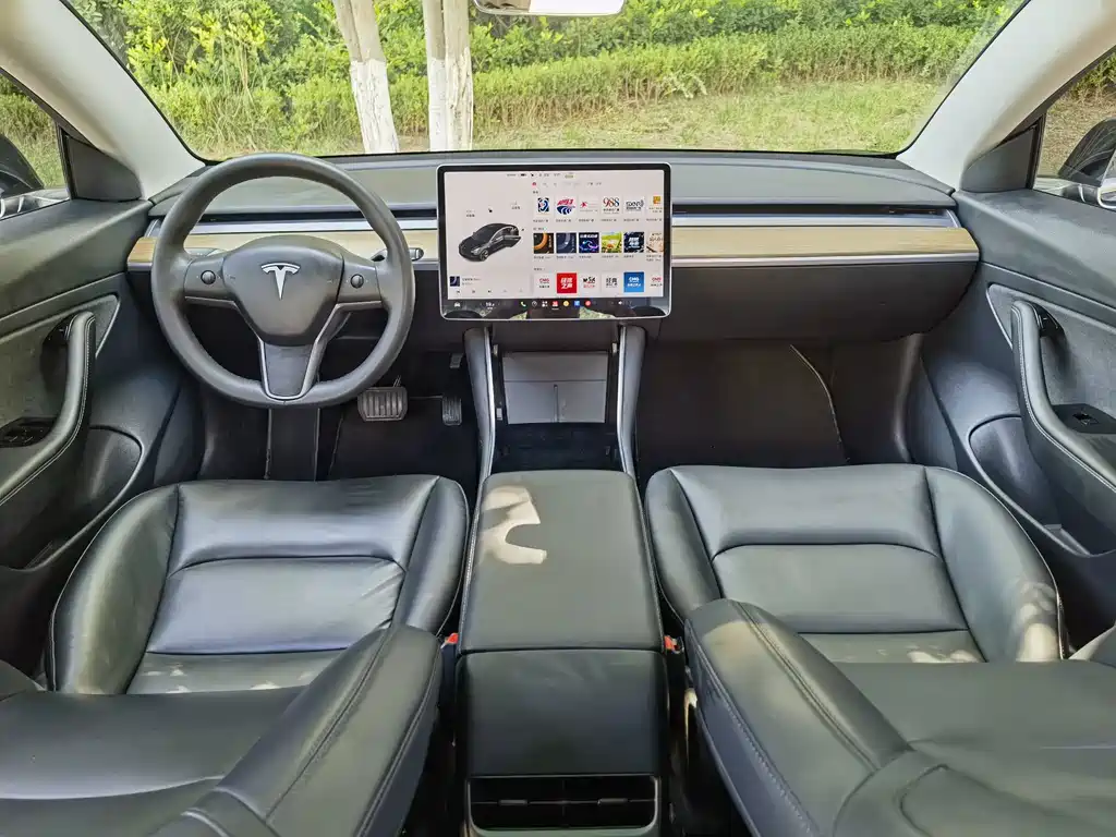 Tesla Model 3 — миниатюра 10