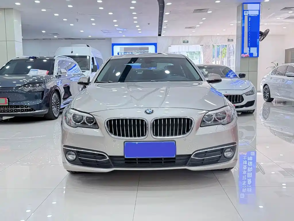 BMW 5 Series — миниатюра 2