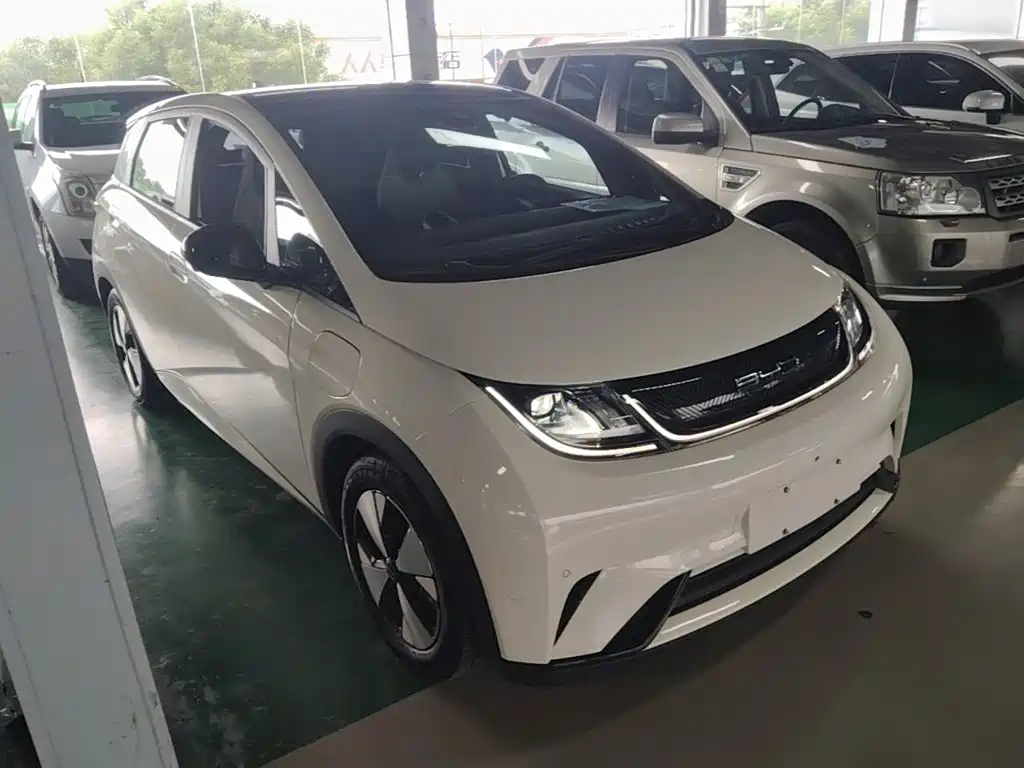 BYD Dolphin — миниатюра 4