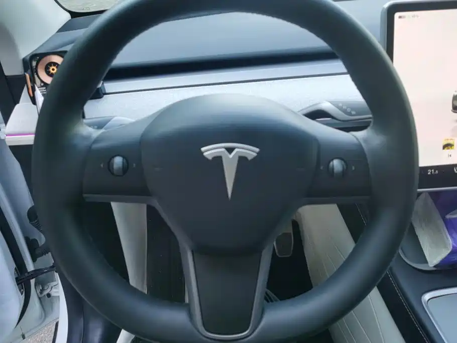 Tesla Model Y — миниатюра 15