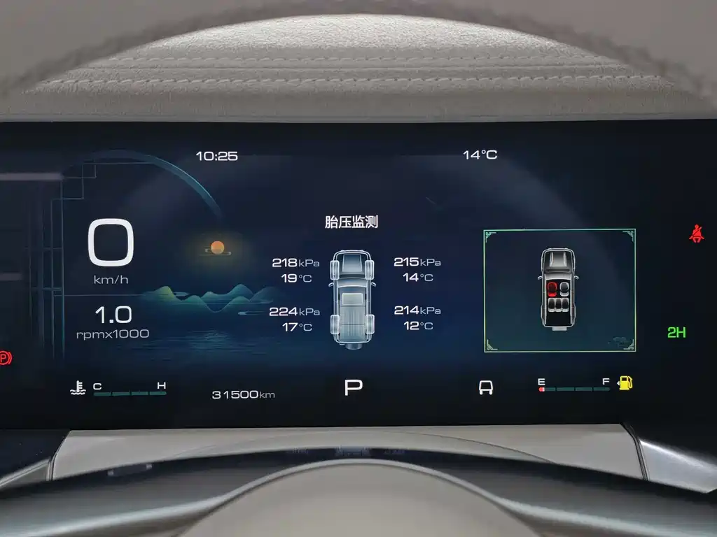 TANK CO CREATION TANK 300