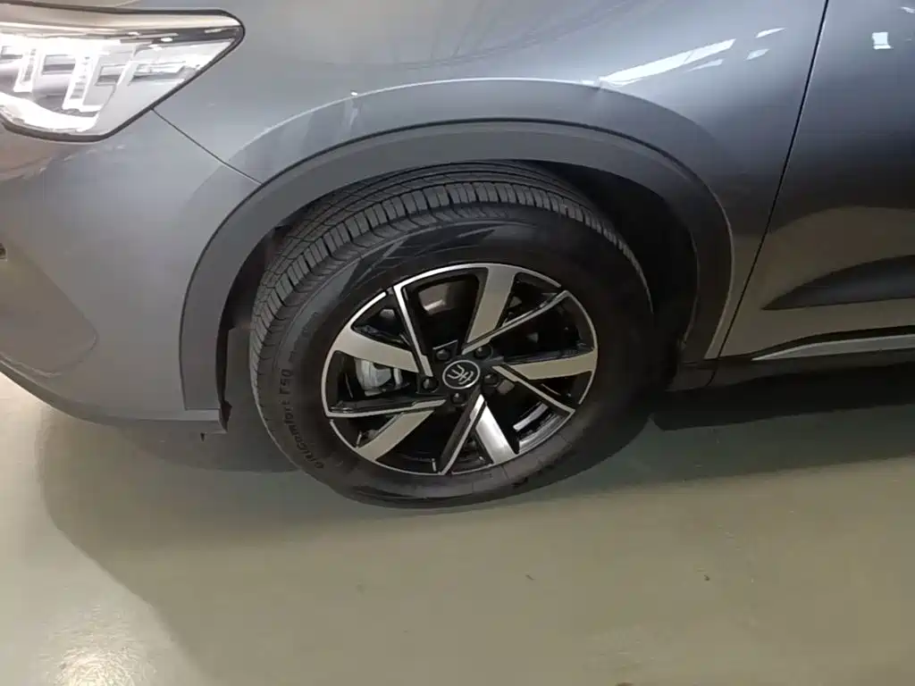 BYD Pro New Energy — миниатюра 23