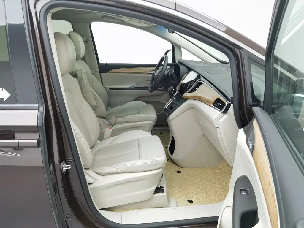 Buick GL8 — миниатюра 23