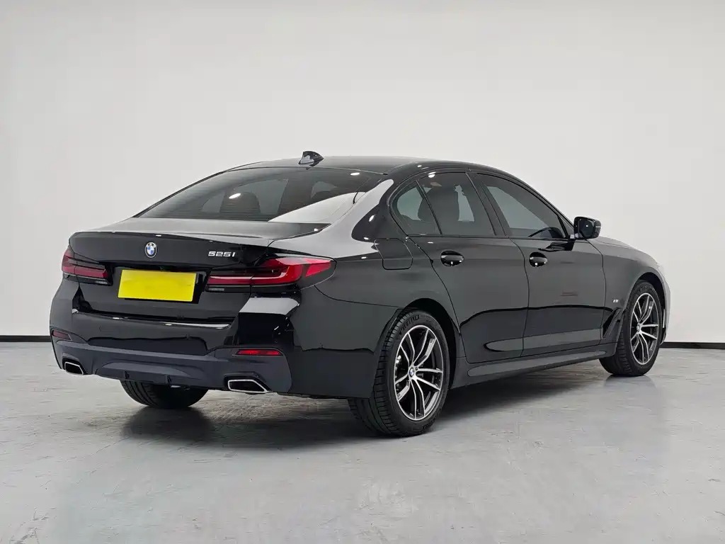 BMW 5 Series (Import) — миниатюра 4