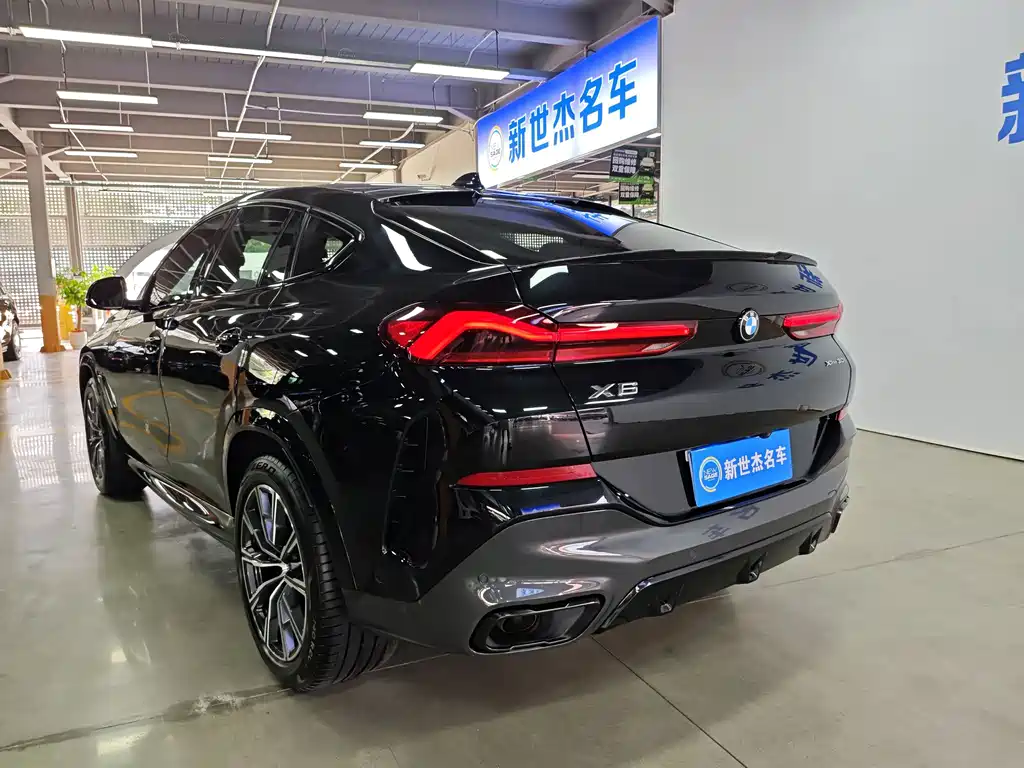 BMW X6 — миниатюра 14