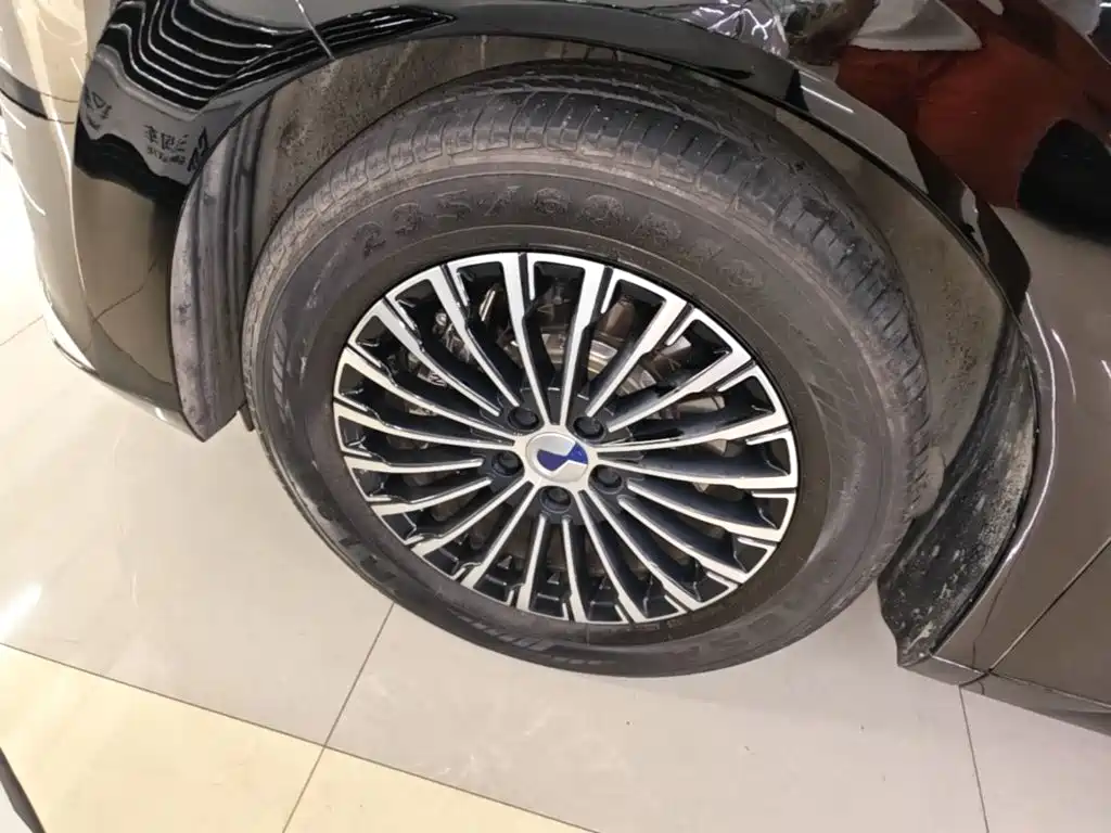 Denza Denza D9 — миниатюра 23