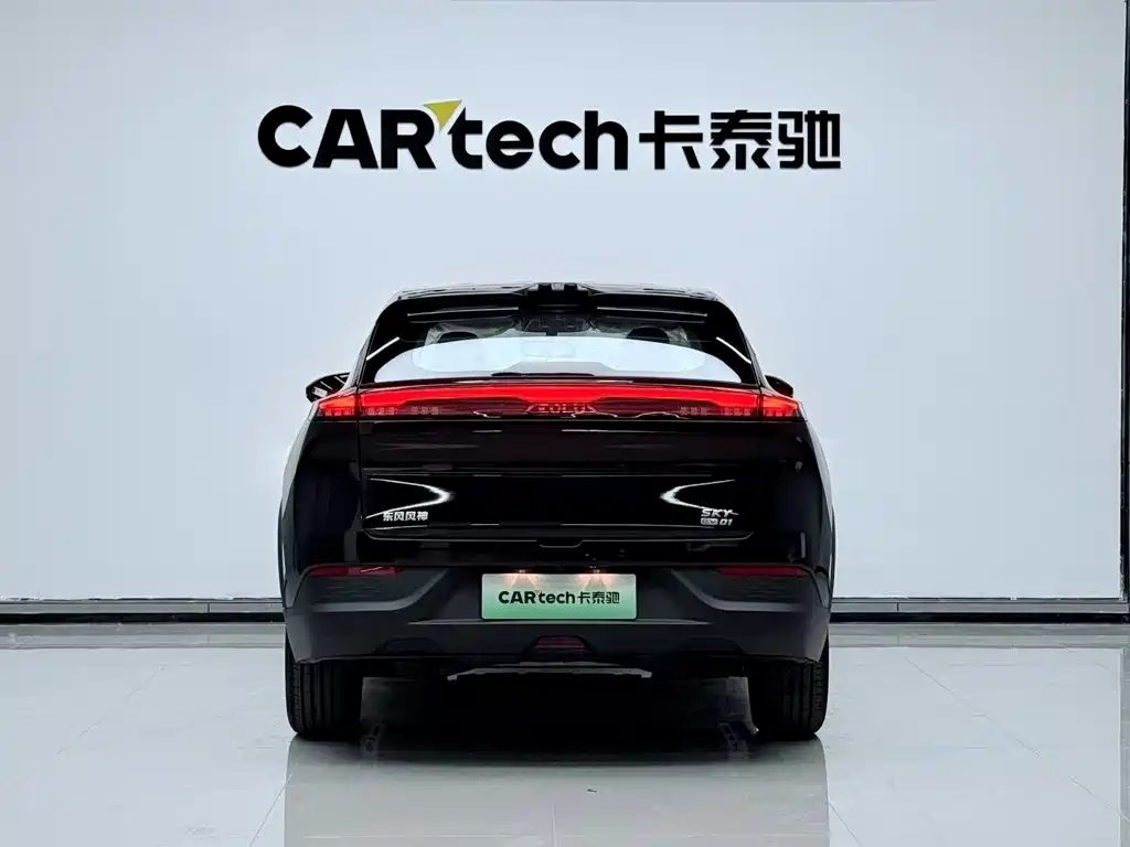 Dongfeng Sky EV01 2025 530km AIR