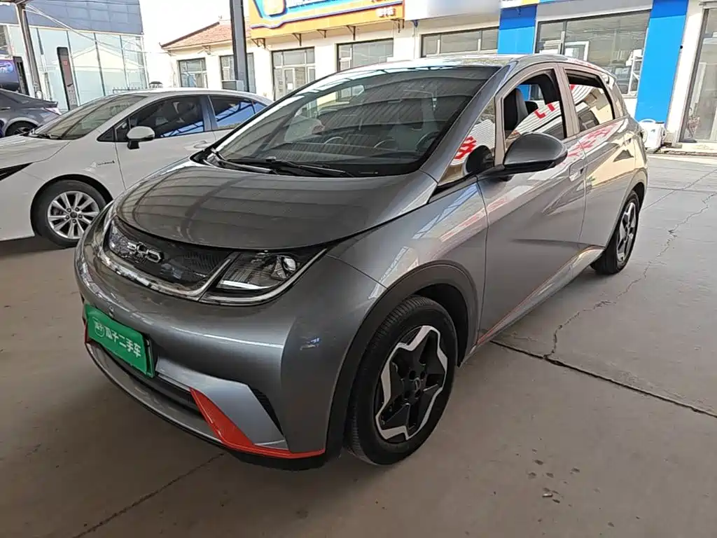 BYD Dolphin — миниатюра 2
