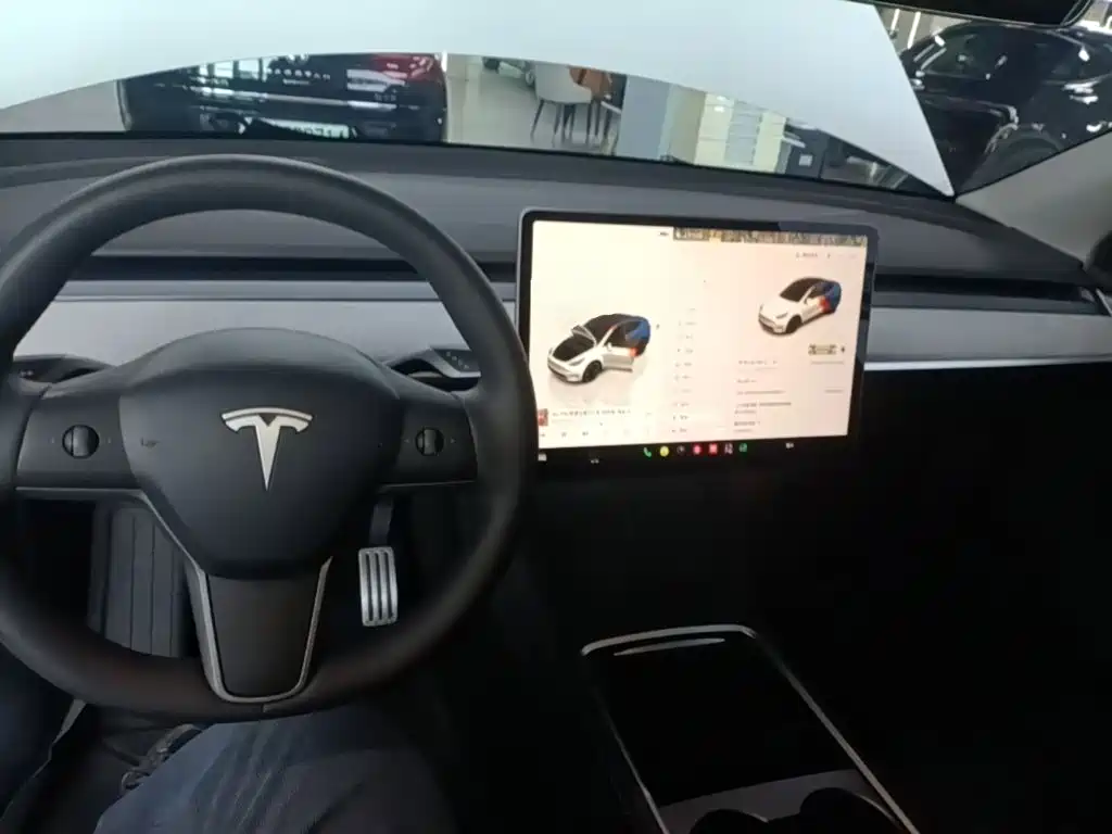 Tesla Model Y — миниатюра 10
