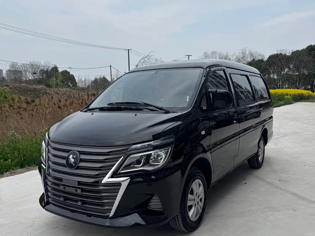 Fengxing Lingzhi 2025