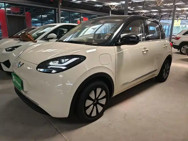 2026 Wuling Motors Binguo