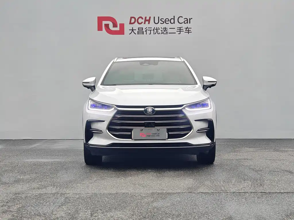 BYD Tang New Energy — миниатюра 2