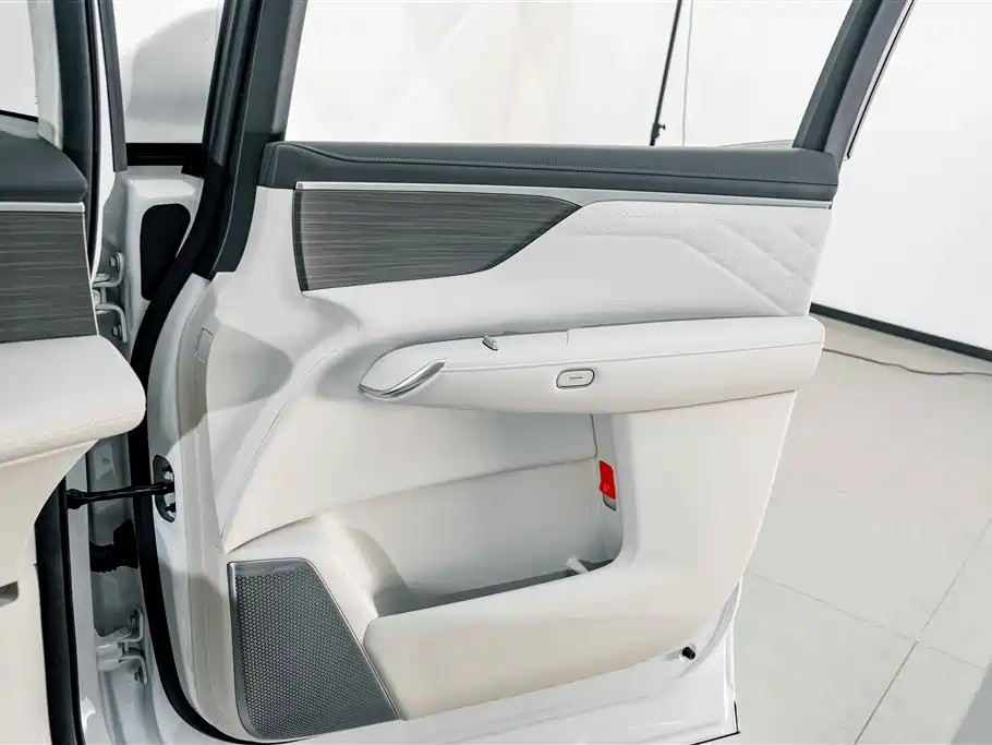 Buick Не похоже, что ты семья. — миниатюра 17