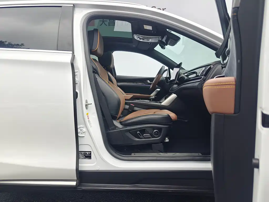 BYD Tang New Energy — миниатюра 11