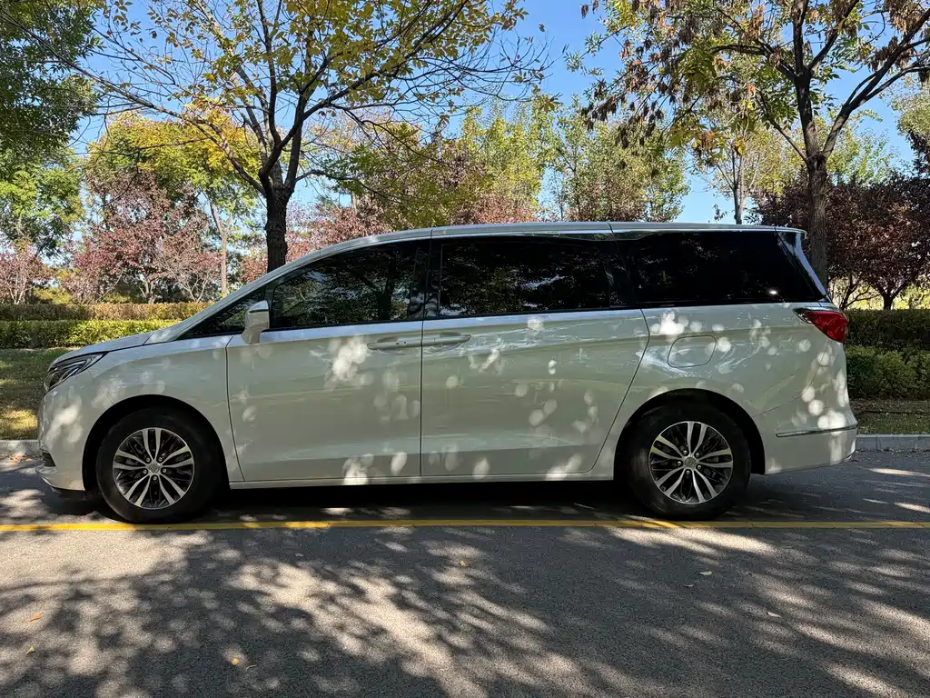 Buick GL8 — миниатюра 8