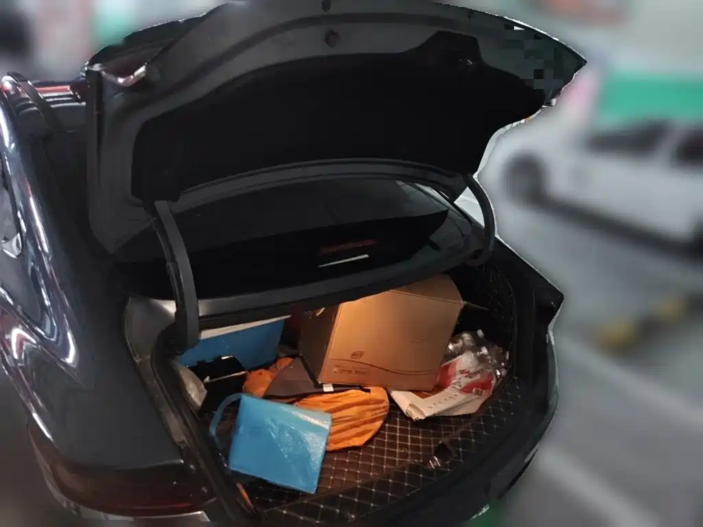 Hyundai Fista — миниатюра 10