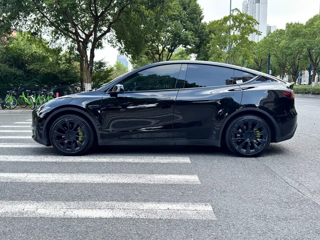 Tesla Model Y — миниатюра 4