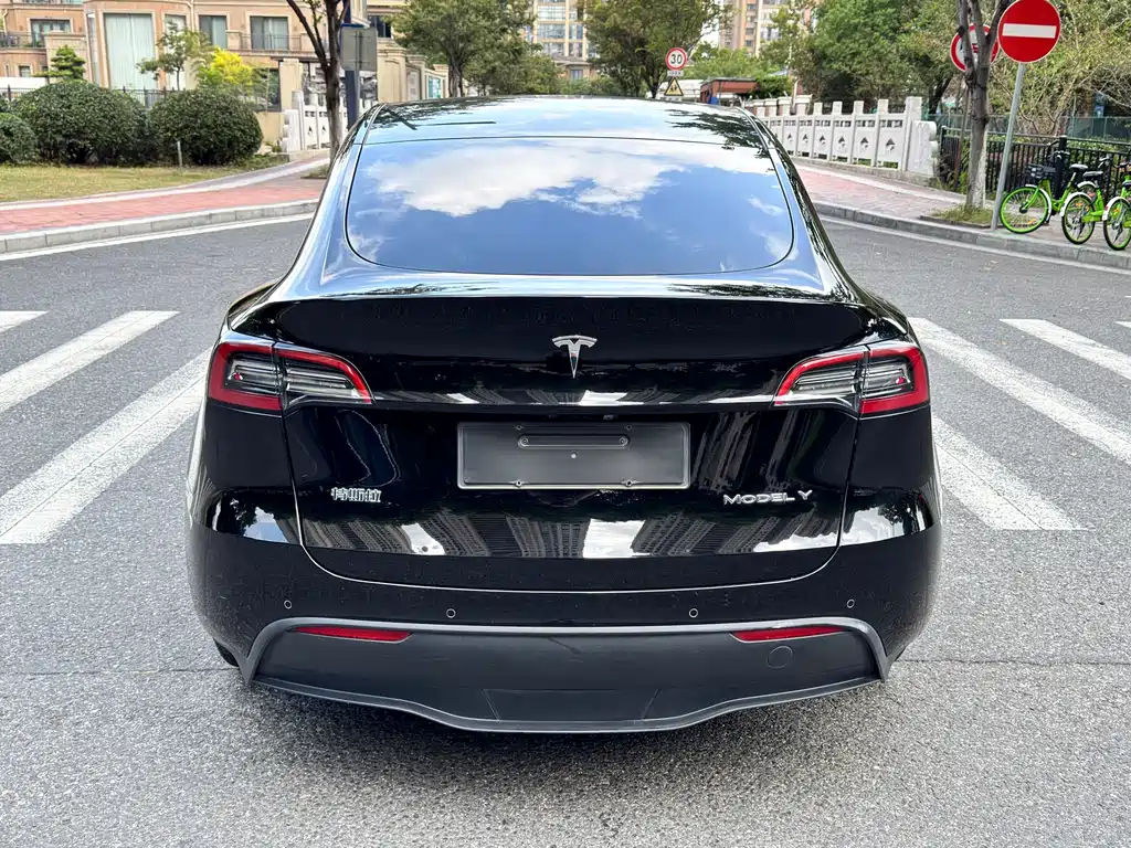 Tesla Model Y — миниатюра 5