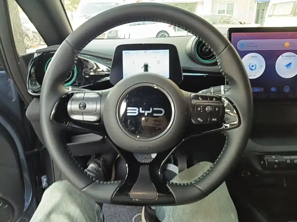 BYD Dolphin — миниатюра 11