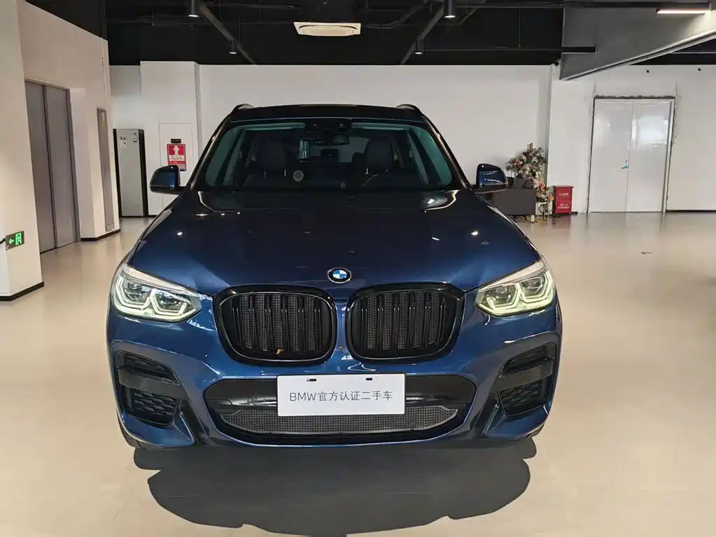 BMW X3 — миниатюра 2