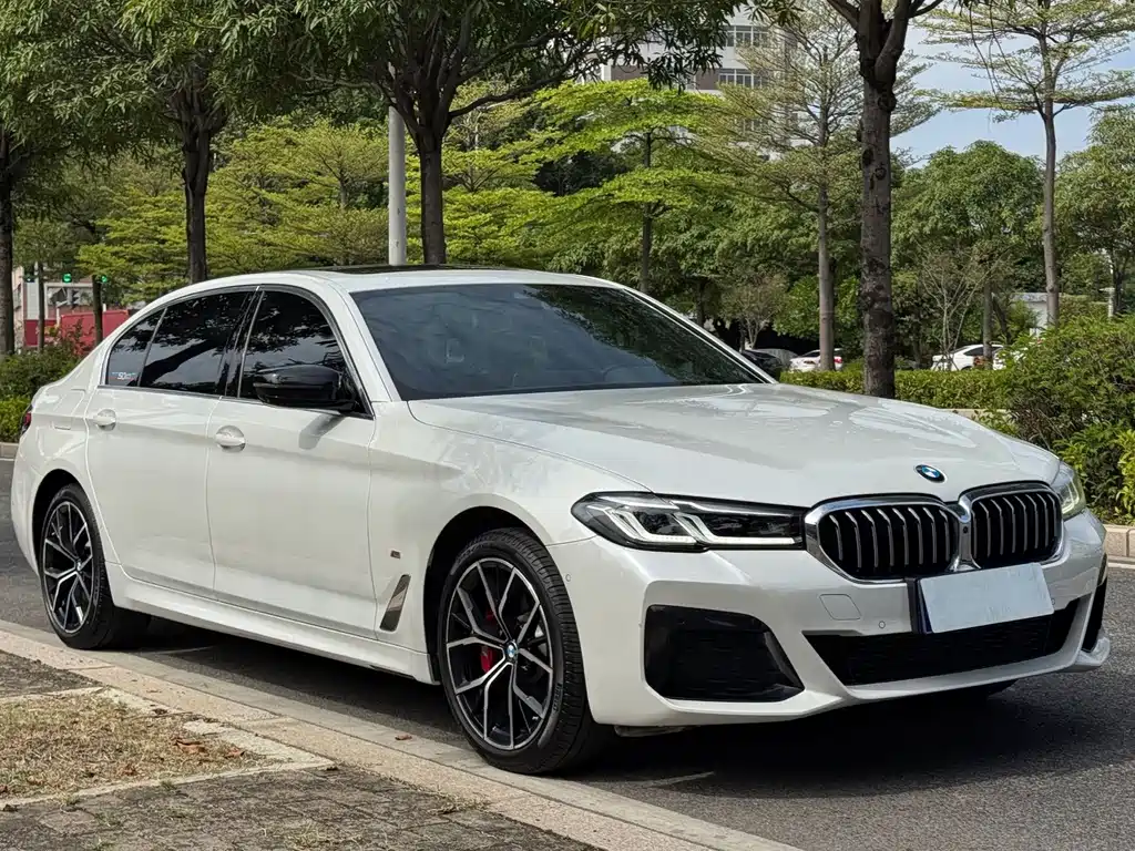 BMW 5 Series — миниатюра 17