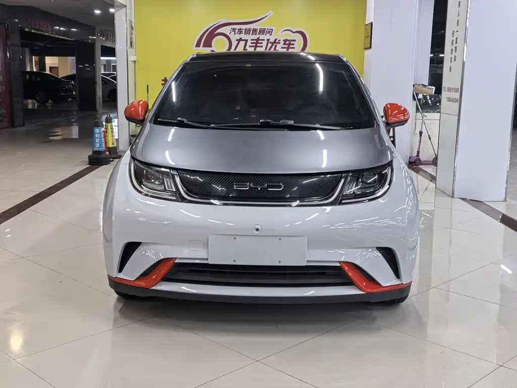 BYD Dolphin — миниатюра 2
