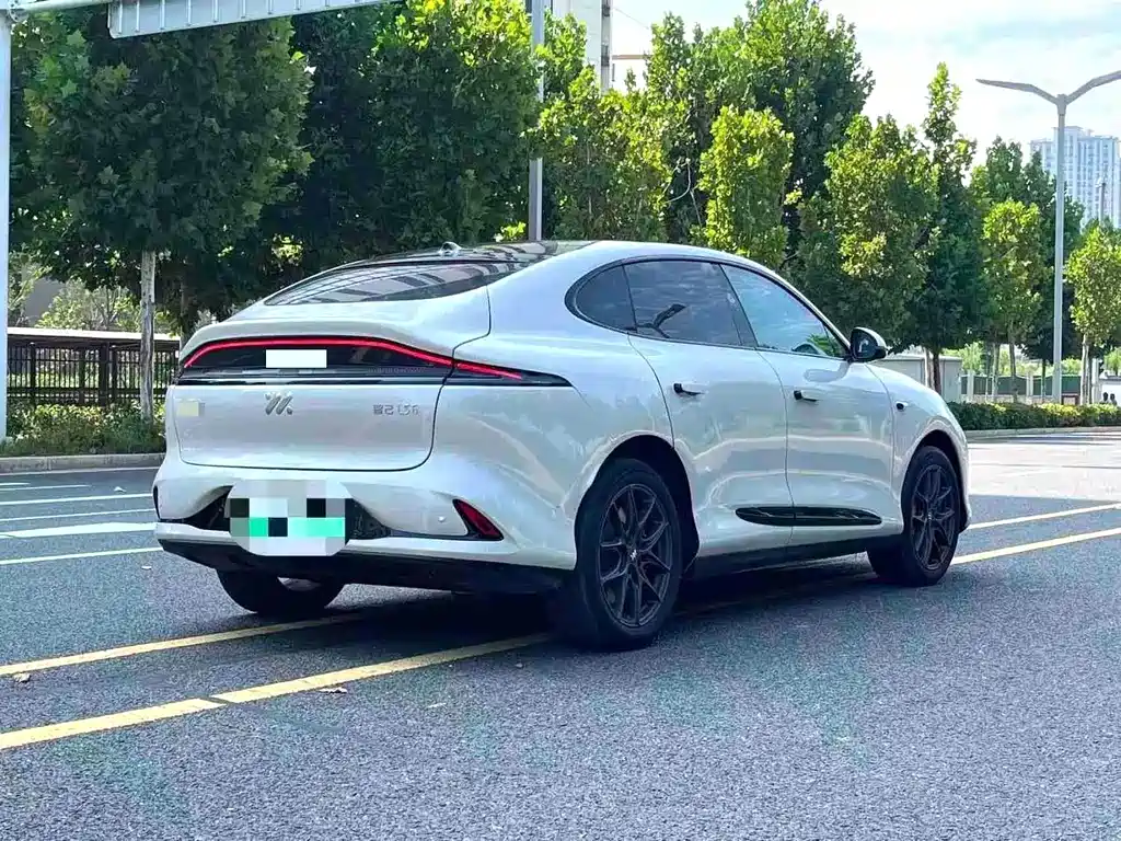 IM IM LS6 — миниатюра 9