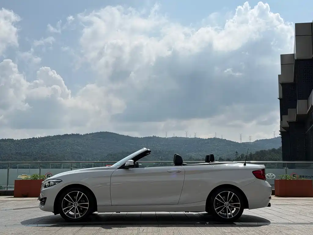 BMW 2 Series 2 2018 220i Sport
