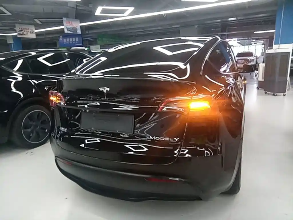 Tesla Model Y — миниатюра 6