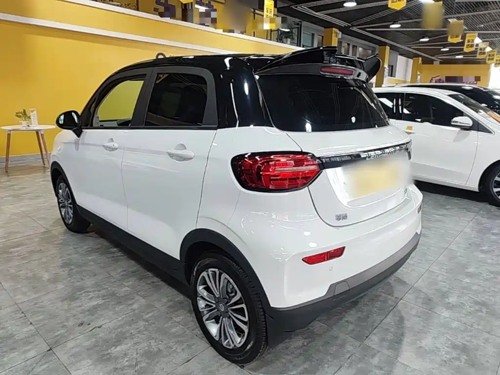 Leapmotor T03 2024 310