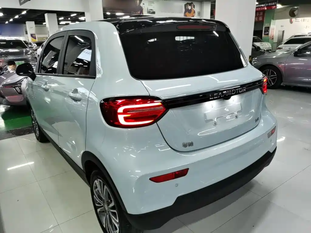 Leapmotor T03 2024 310