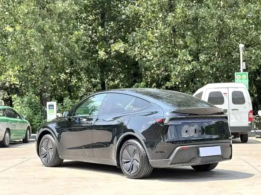 Tesla Model Y — миниатюра 9