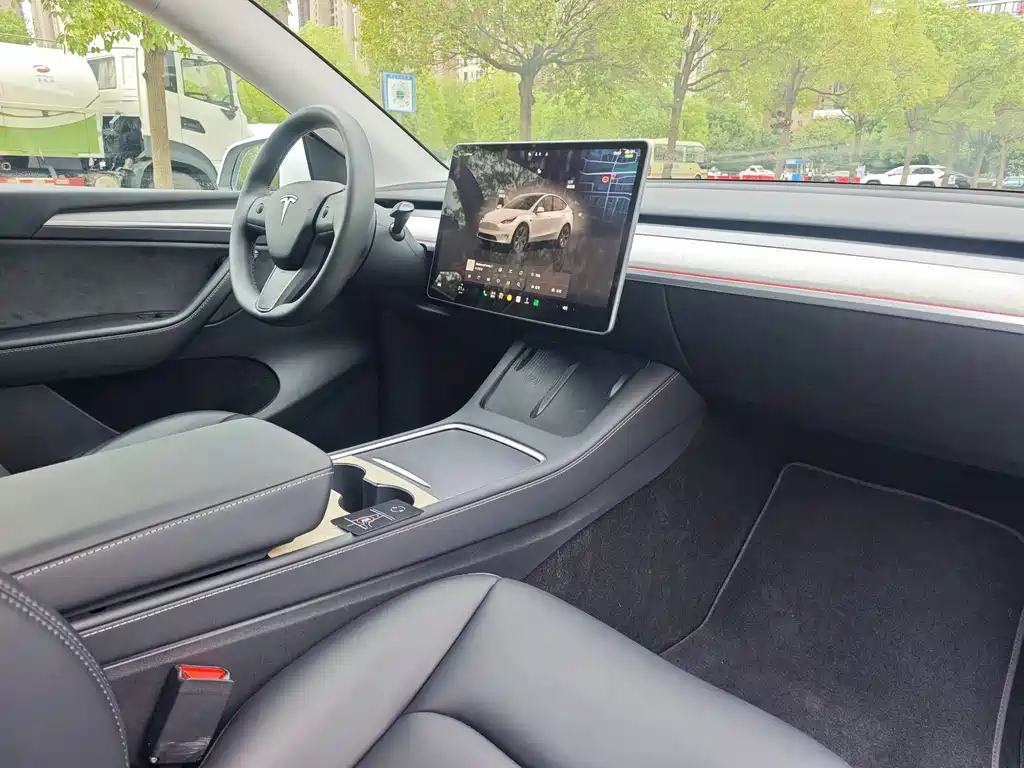 Tesla Model Y — миниатюра 14