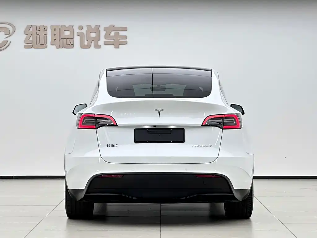 Tesla Model Y — миниатюра 16