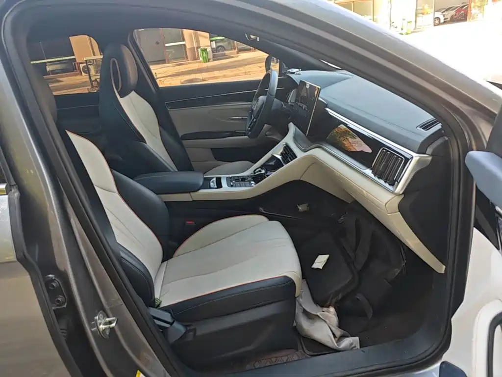 BYD PLUS New Energy — миниатюра 25