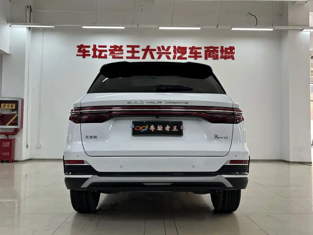 BYD Pro — миниатюра 15