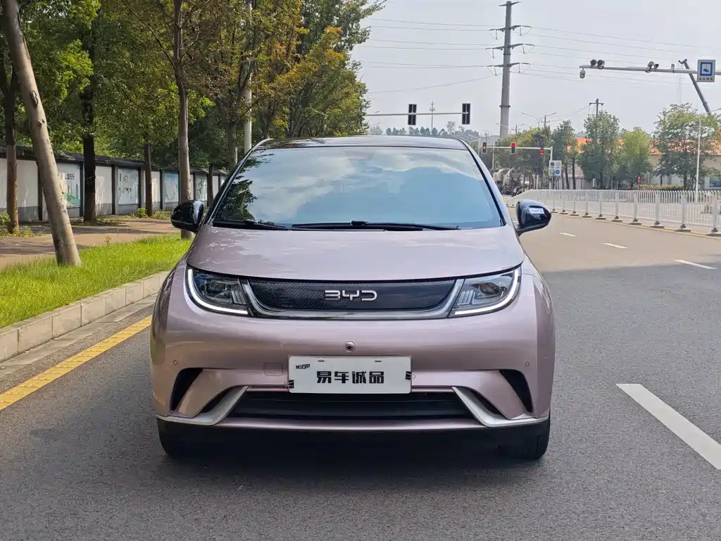 BYD Dolphin — миниатюра 2