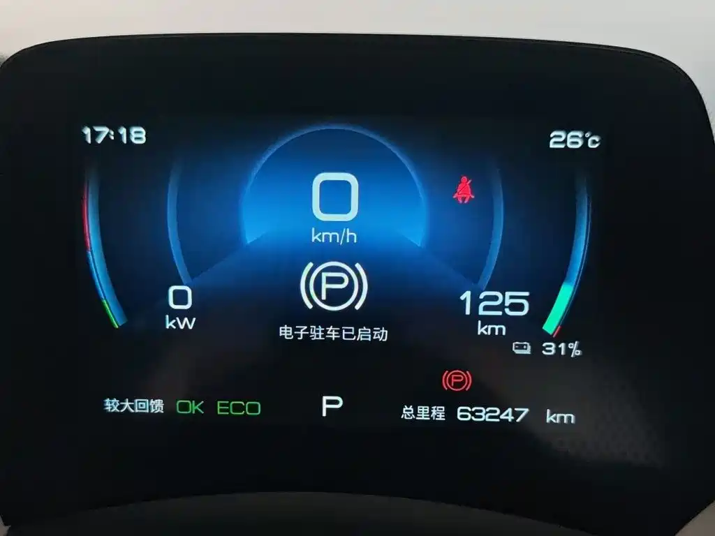 BYD Dolphin — миниатюра 12
