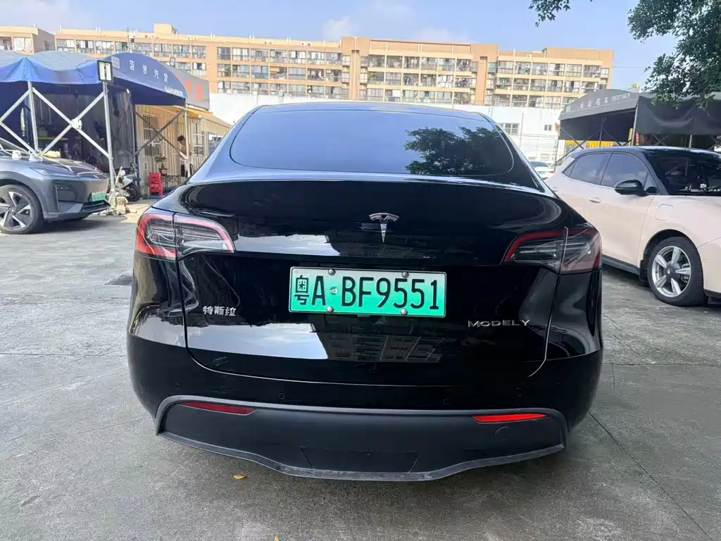 Tesla Model Y — миниатюра 5