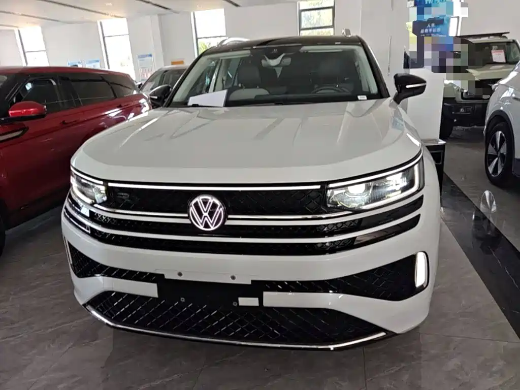 Volkswagen Tavendor — миниатюра 3