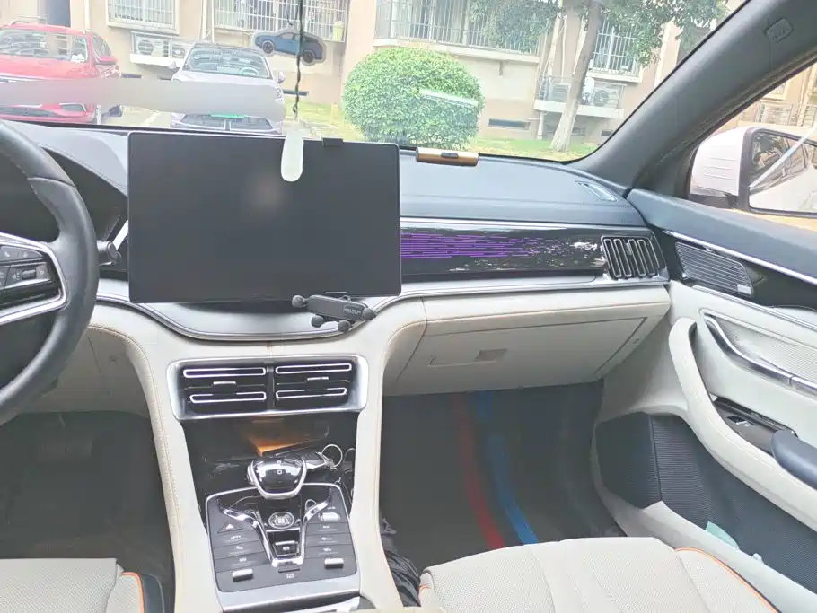 BYD PLUS New Energy — миниатюра 13