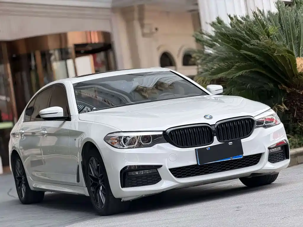 BMW 5 Series 5 2019 525Li M Sport
